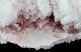 Large, Pink Halite Crystal Plate - Trona, California #67692-3